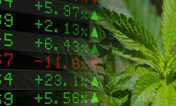 Sempre più banche al servizio dell’industria della cannabis legale