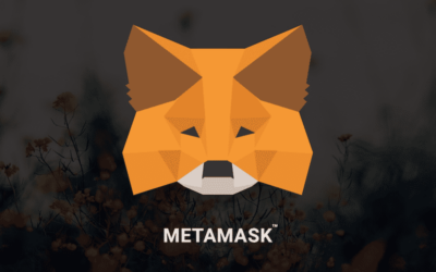 metamask piattaforma guida